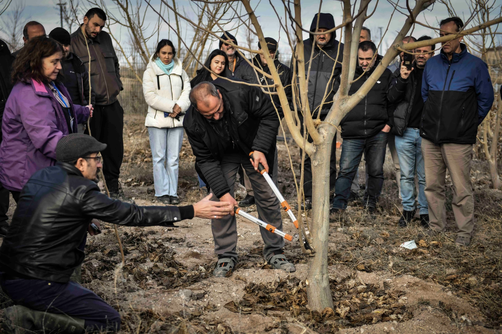 ABB&rsquo;den Meyve Ağa&ccedil;larının Gelişimine Destek