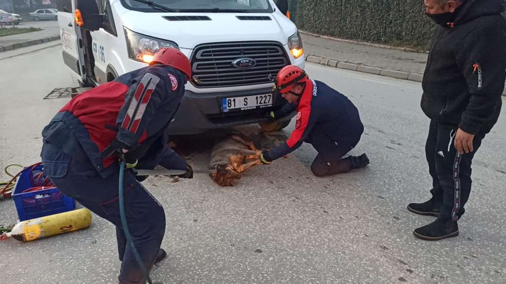 Araç altındaki köpek kurtarıldı 