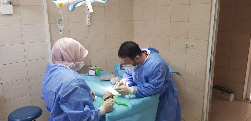 Yalova'da 7219 ihbar değerlendirildi