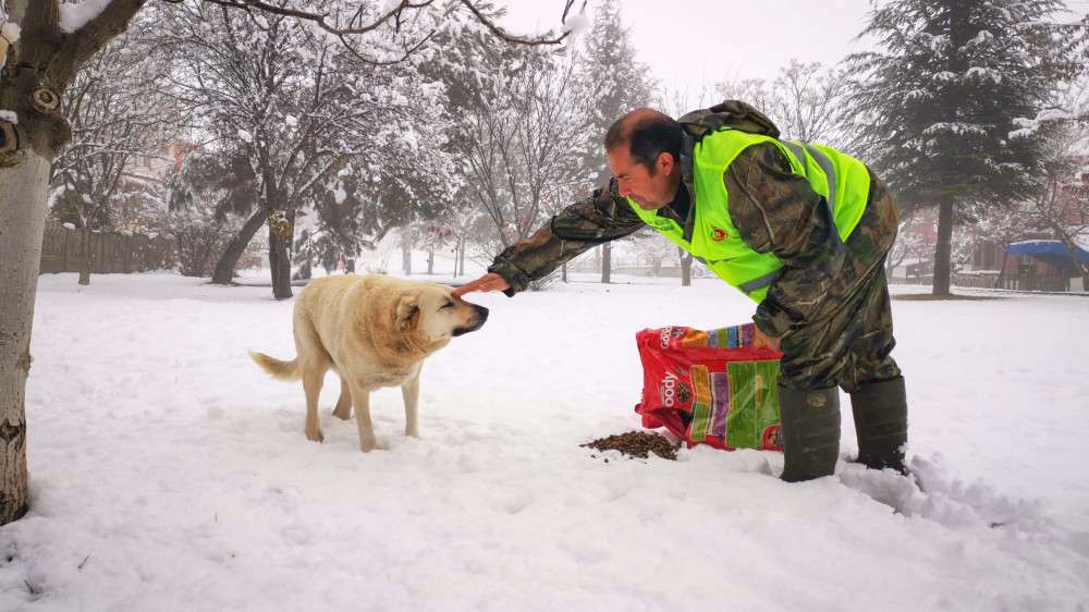 Uşak Belediyesi’nden karla etkin mücadele