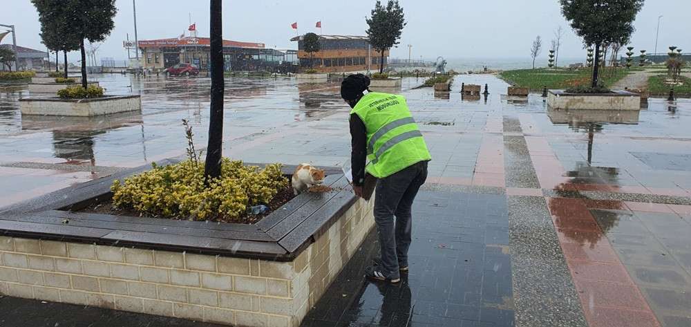 Zabıta yaptığı hareketle içleri ısıttı