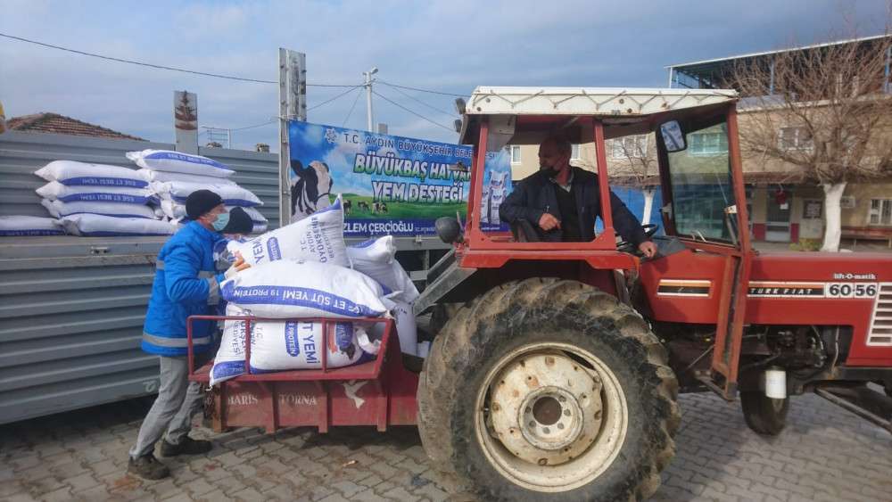 Aydın Büyükşehir Belediyesi'nden küçük üreticiye yem desteği