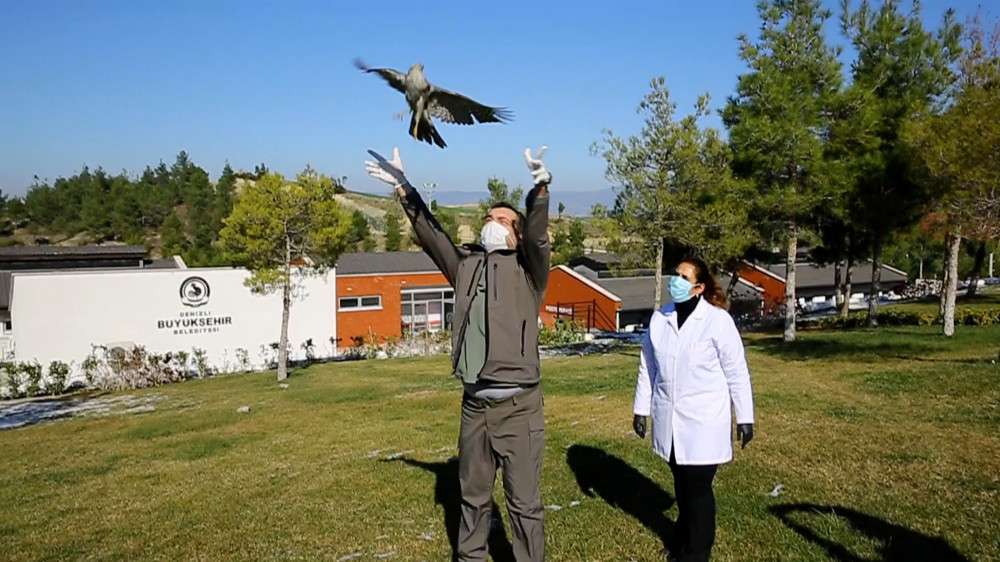 Denizli Büyükşehir vahşi doğaya da sahip çıkıyor