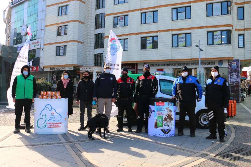 Belediye ve emniyetten sokaktaki canlar için ortak çalışma