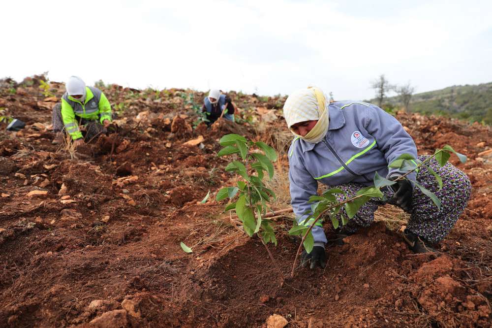 Denizli Büyükşehir kırsal kalkınmada da öncü