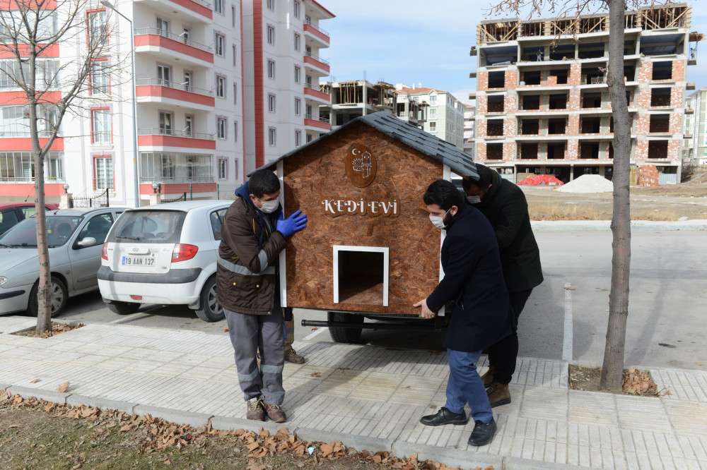 Sinem’in “Bir Pati Değil Bin Pati” projesi hayata geçti