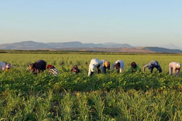 Hatay&rsquo;da Tarımsal &Uuml;retimde Onarıcı D&ouml;n&uuml;ş&uuml;m Projesine Bir &Ouml;d&uuml;l Daha