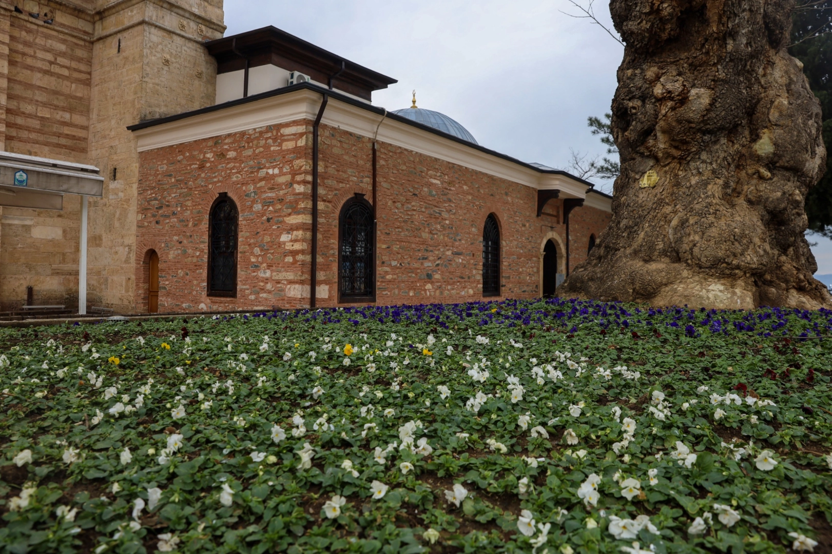 Bursa Kışın da &Ccedil;i&ccedil;ek Bah&ccedil;esine D&ouml;n&uuml;ş&uuml;yor