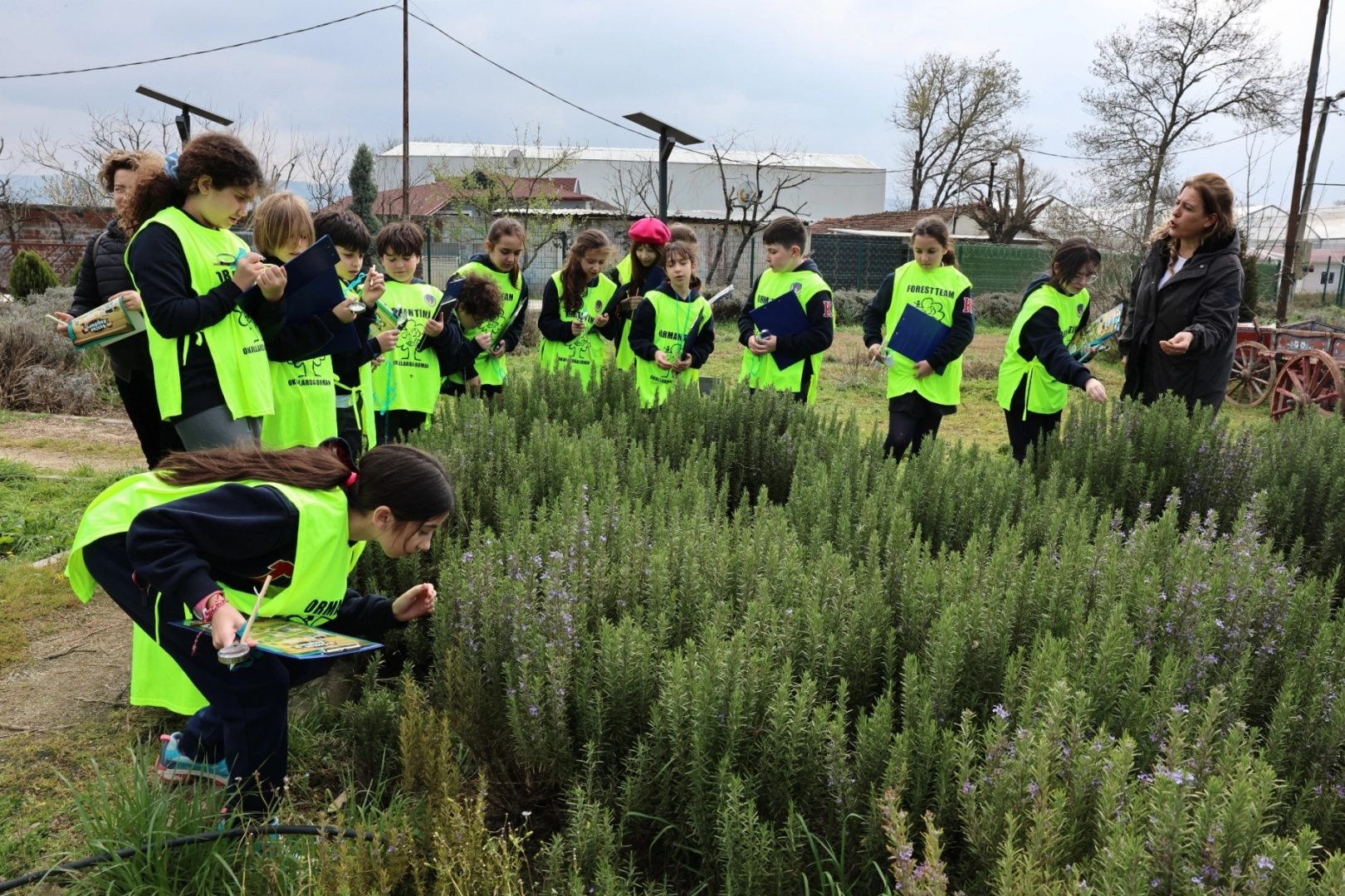 &Uuml;r&uuml;nl&uuml;&rsquo;de Doğa Sevgisi Yeşeriyor