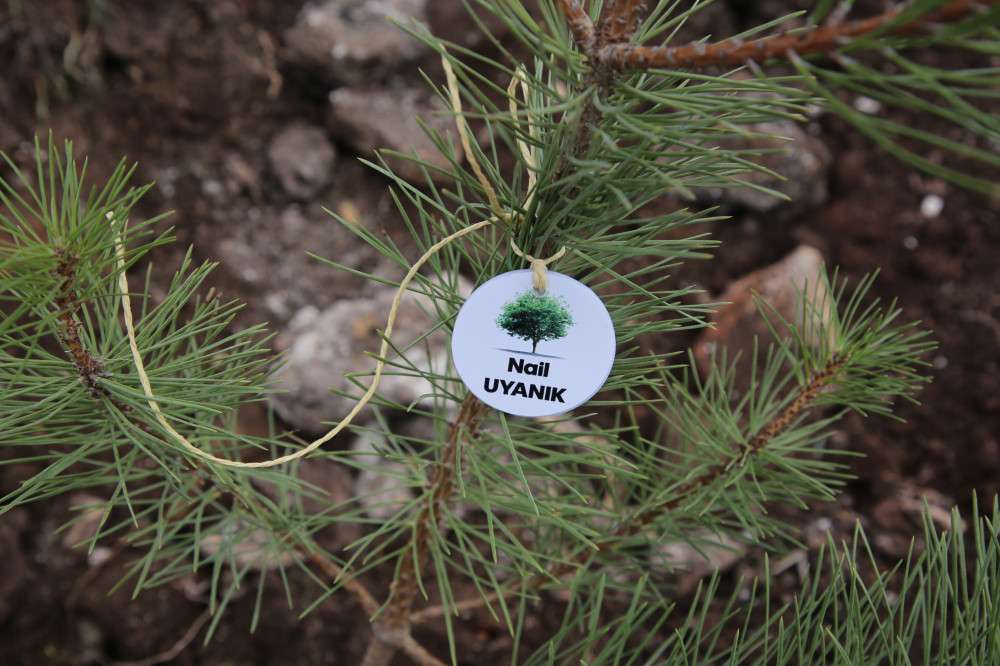 Başkan Esen’den yaşlılara hatıra ormanı