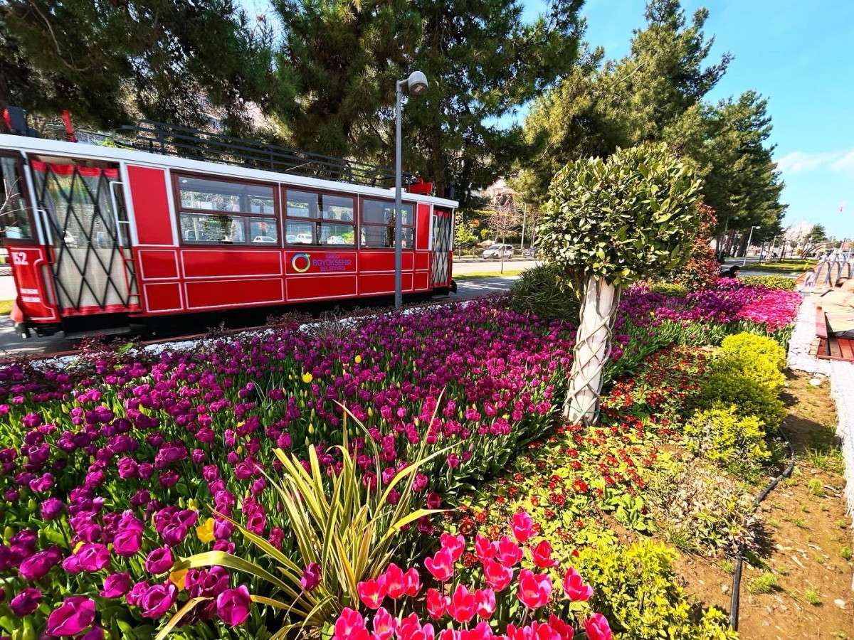 Büyükşehir vatandaşlara görsel şölen sunuyor