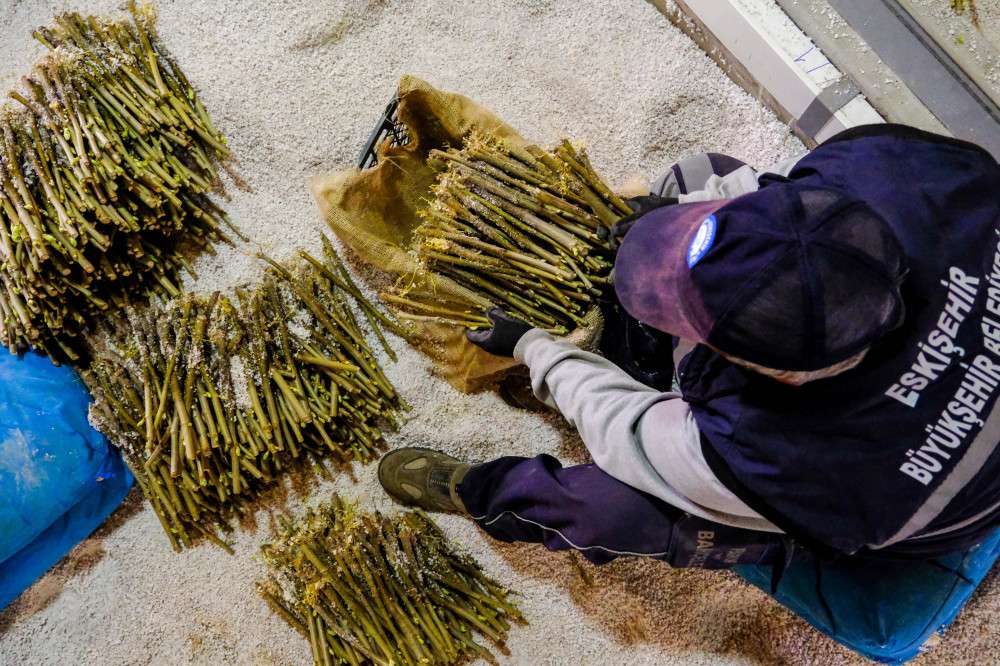 Eskişehir'de destek için büyük hazırlık