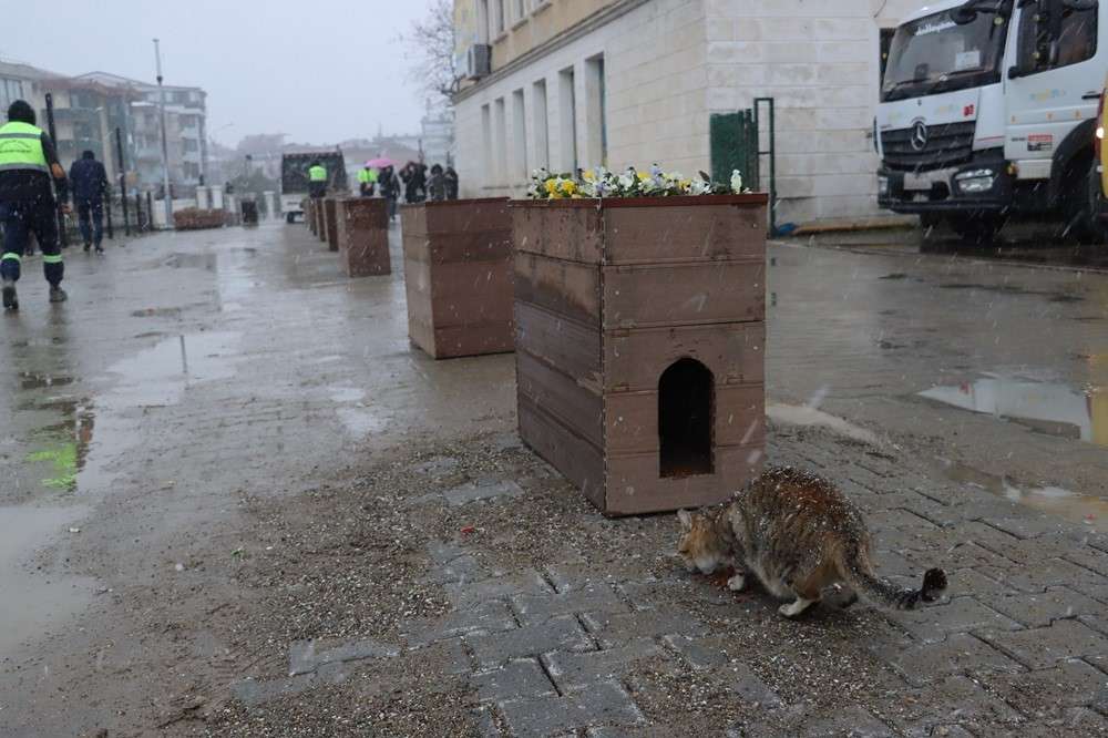 Geri dönüşüm malzemeleriyle kedi yuvaları yapıldı