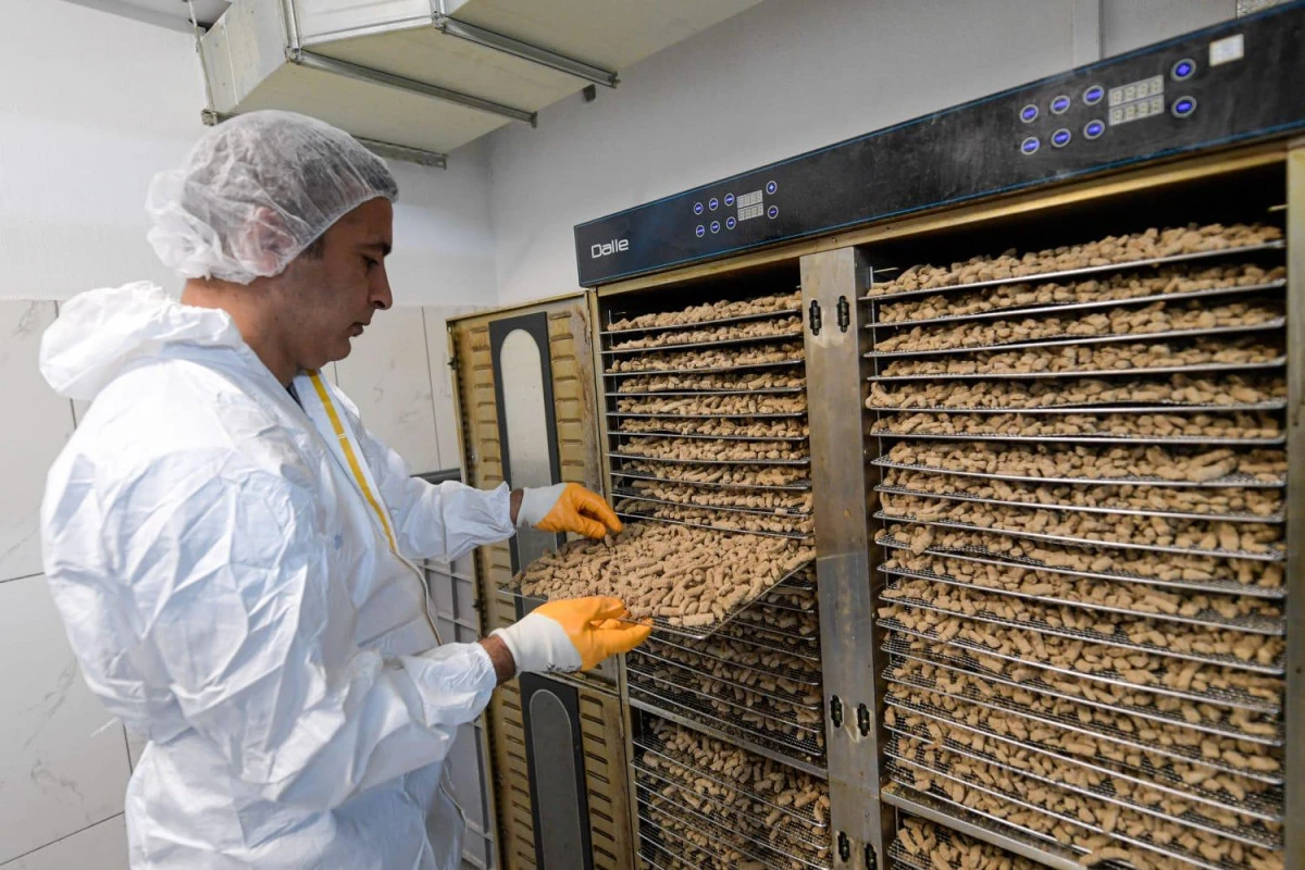 İzmir Büyükşehir Belediyesi can dostlar için mama üretiyor