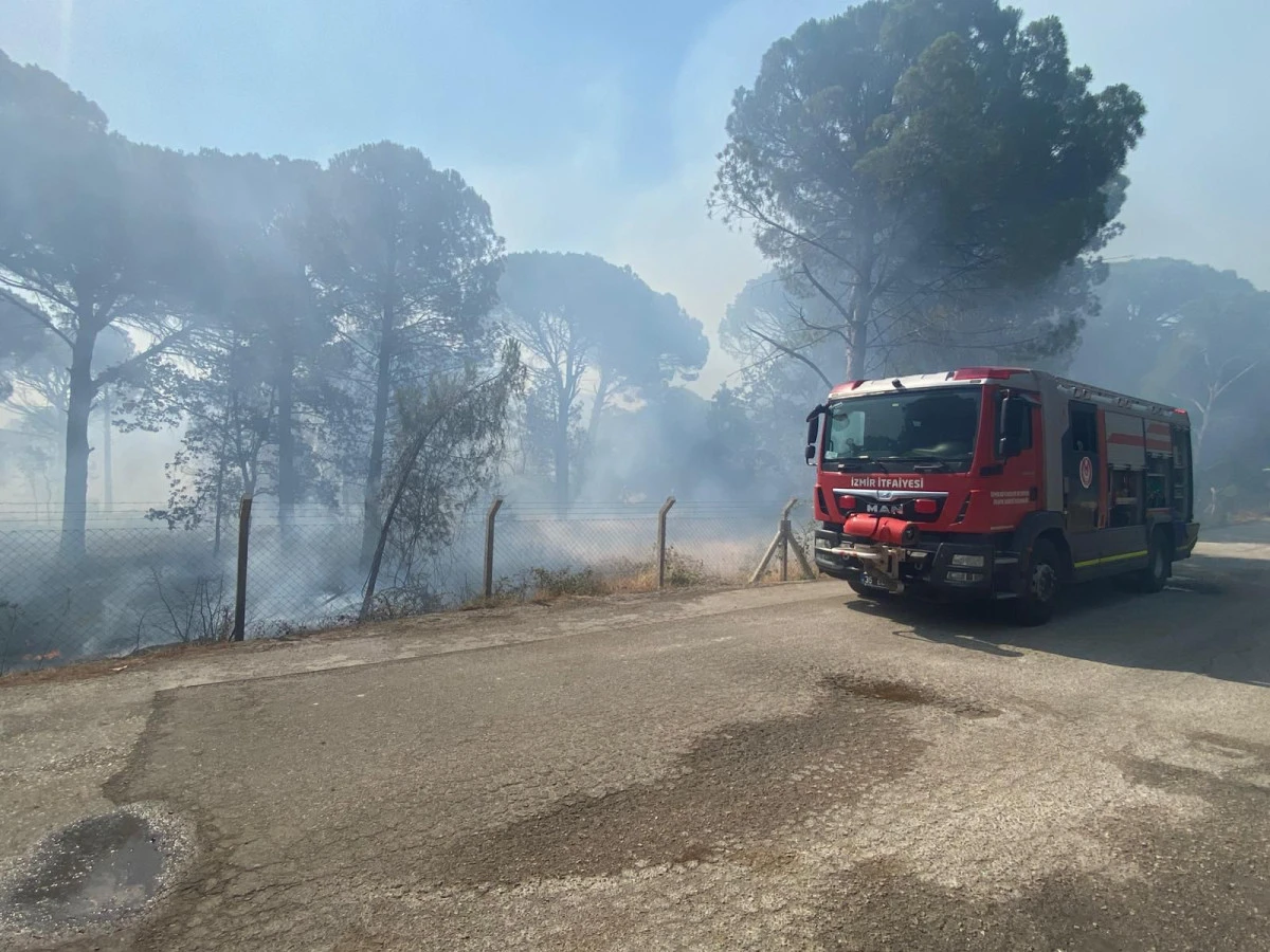 İzmir’de Orman Yangınına Hızlı Müdahale
