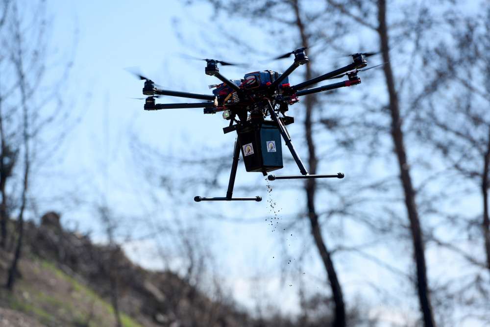 Muratpaşa yanan ormanları dronla tohumluyor