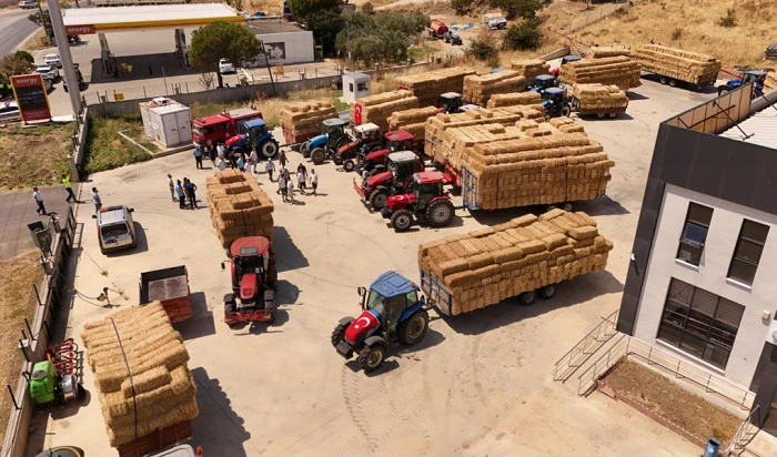 Yangının Yaraları Dayanışmayla Sarılıyor