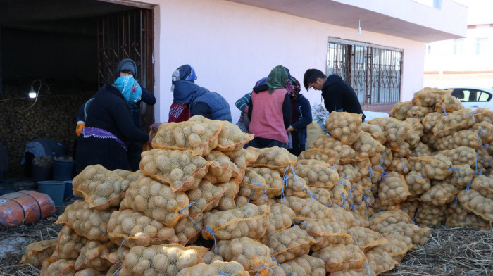 Üreticinin elinde kalan patatesler alınarak ihtiyaç sahiplerine dağıtılıyor 