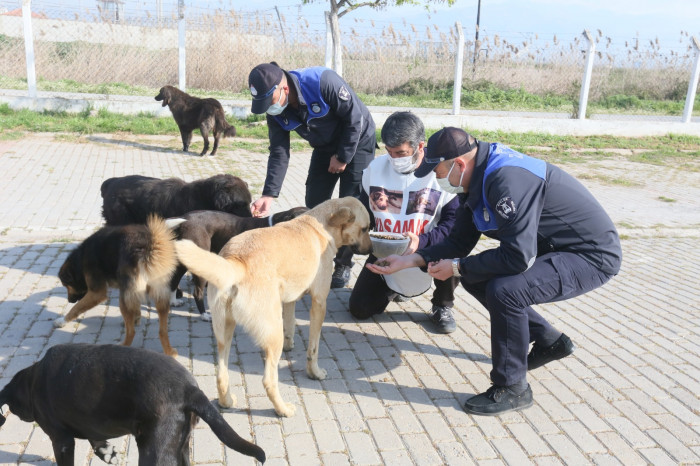 Efeler can dostlar için kilometrelerce yürüyen İğdigül’ü ağırladı